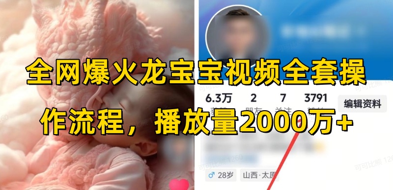 全网爆火龙宝宝视频全套操作流程，播放量2000万+-云泽轻创网