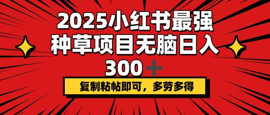 2025小红书最强种草项目，无脑日入300+，复制粘帖即可，多劳多得-云泽轻创网