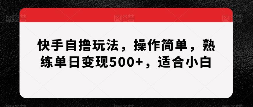 快手自撸玩法，操作简单，熟练单日变现500+，适合小白【揭秘】-云泽轻创网