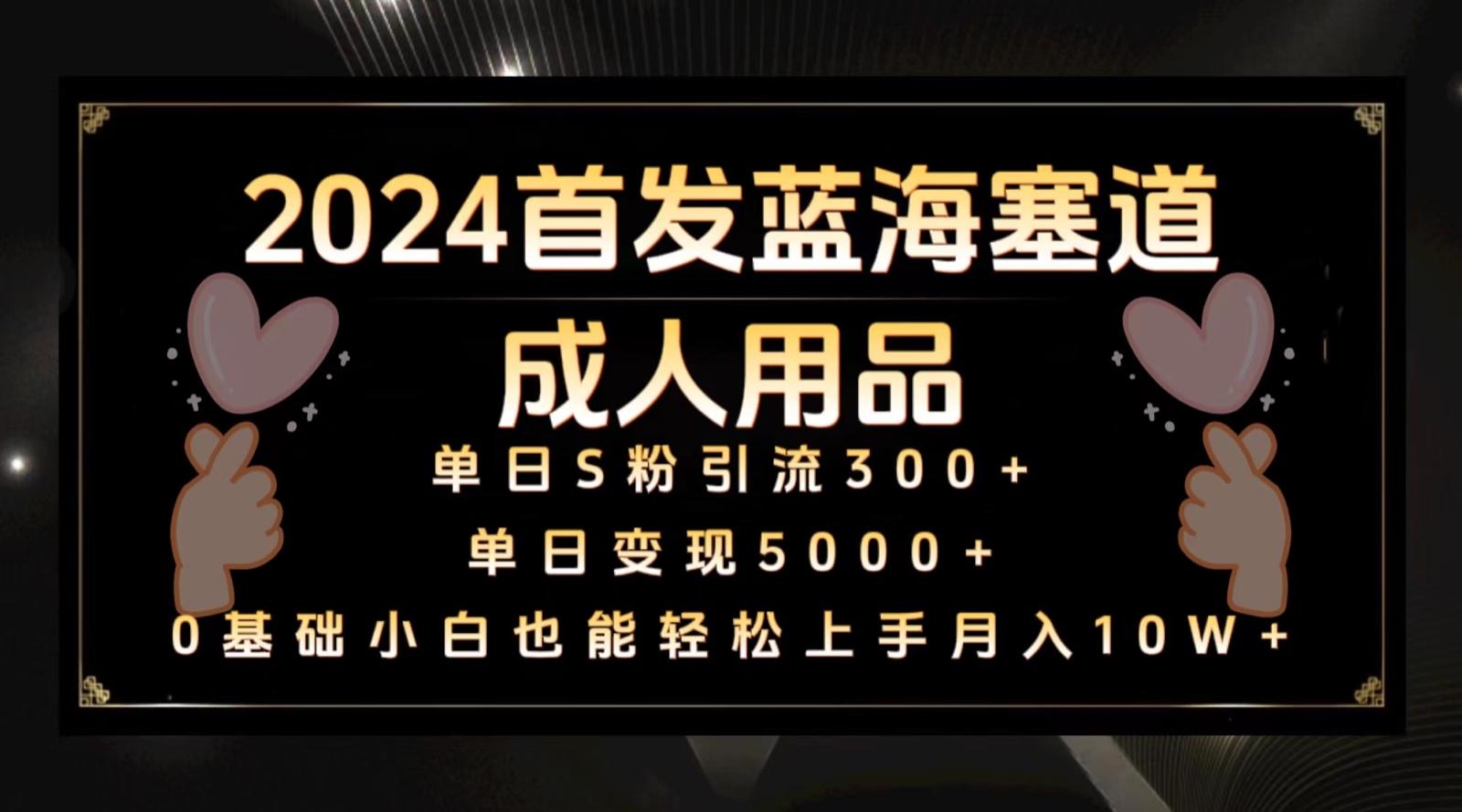 2024首发蓝海塞道成人用品,月入10W+保姆教程-云泽轻创网