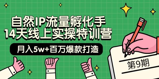 (9881期)自然IP流量孵化手 14天线上实操特训营【第9期】月入5w+百万爆款打造 (74节)-云泽轻创网