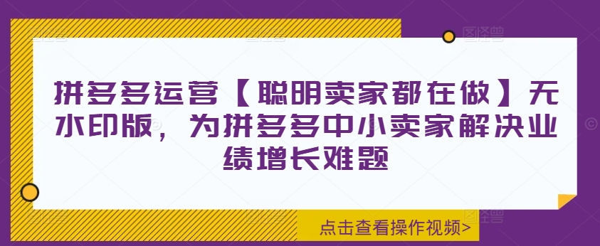 拼多多运营【聪明卖家都在做】无水印版，为拼多多中小卖家解决业绩增长难题-云泽轻创网