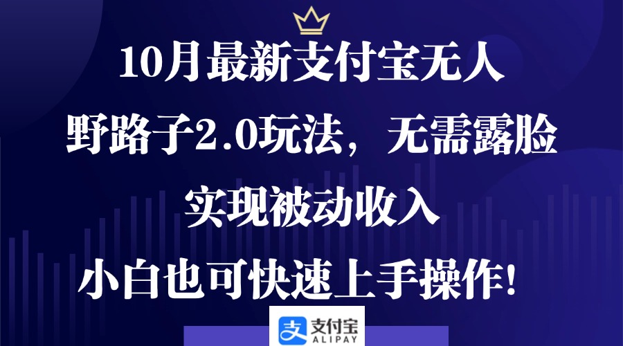 10月最新支付宝无人野路子2.0玩法，无需露脸，实现被动收入，小白也可...-云泽轻创网