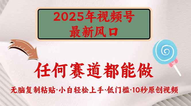 2025年视频号新风口，低门槛只需要无脑执行-云泽轻创网