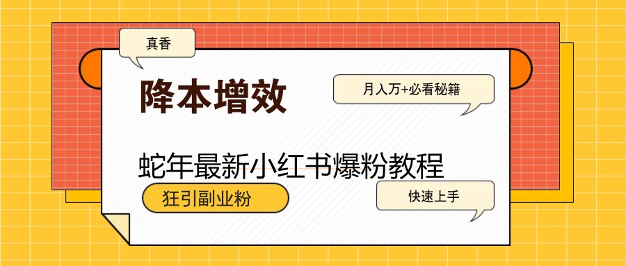 蛇年最新小红书爆粉教程，狂引副业粉，月入万+必看-云泽轻创网