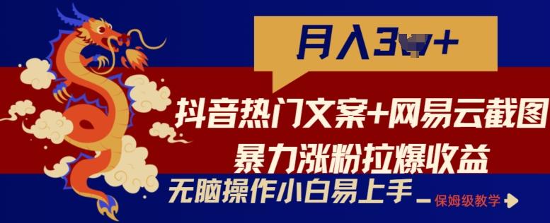 抖音热门文案+网易云截图暴力涨粉拉爆收益玩法，小白无脑操作，简单易上手【揭秘】-云泽轻创网