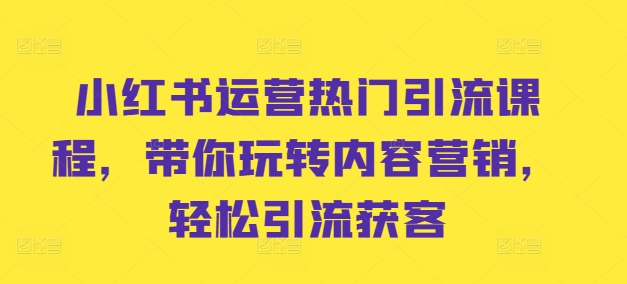 小红书运营热门引流课程，带你玩转内容营销，轻松引流获客-云泽轻创网