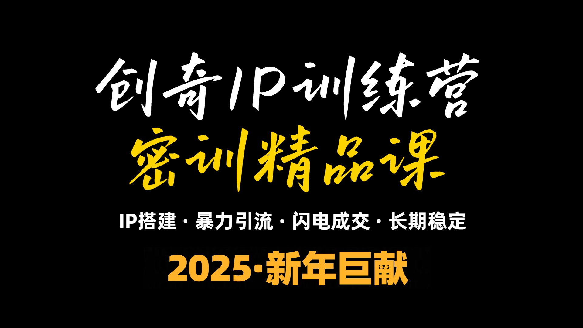 2025年“知识付费IP训练营”小白避坑年赚百万，暴力引流，闪电成交-云泽轻创网