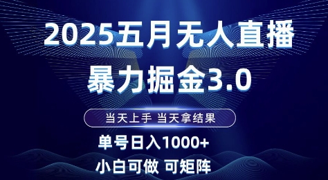 2025五月无人直播暴力掘金3.0，当天上手，当天拿结果，单号日入1k+小白可做可矩阵【揭秘】-云泽轻创网