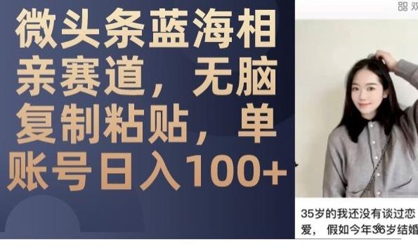 微头条蓝海相亲赛道，无脑复制粘贴，单账号日入100+-云泽轻创网