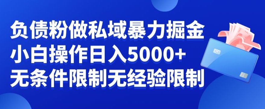 负债粉私域暴力掘金，小白操作入5000，无经验限制，无条件限制【揭秘】-云泽轻创网
