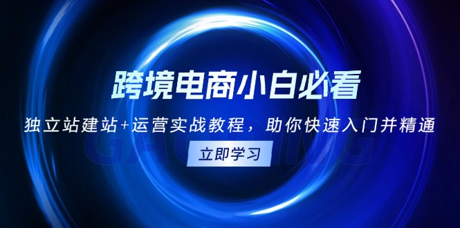 跨境电商小白必看！独立站建站+运营实战教程，助你快速入门并精通-云泽轻创网