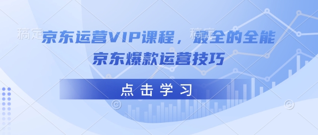 京东运营VIP课程，最全的全能京东爆款运营技巧-云泽轻创网