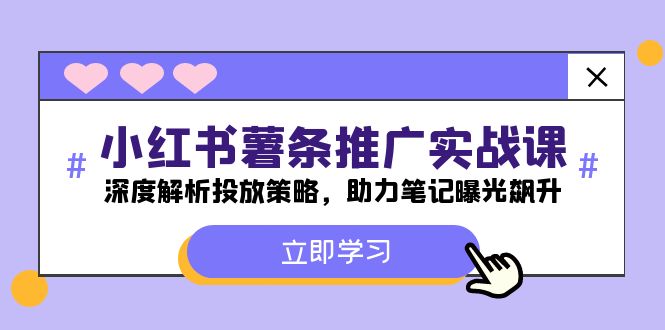 小红书-薯条推广实战课：深度解析投放策略，助力笔记曝光飙升-云泽轻创网