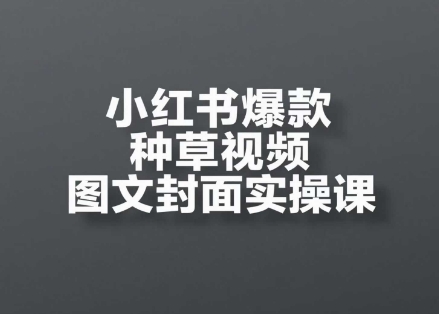 小红书爆款种草视频图文封面实操课，​开店、选品、引流、变现全流程-云泽轻创网