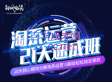 淘系运营21天速成班(更新24年5月)-云泽轻创网