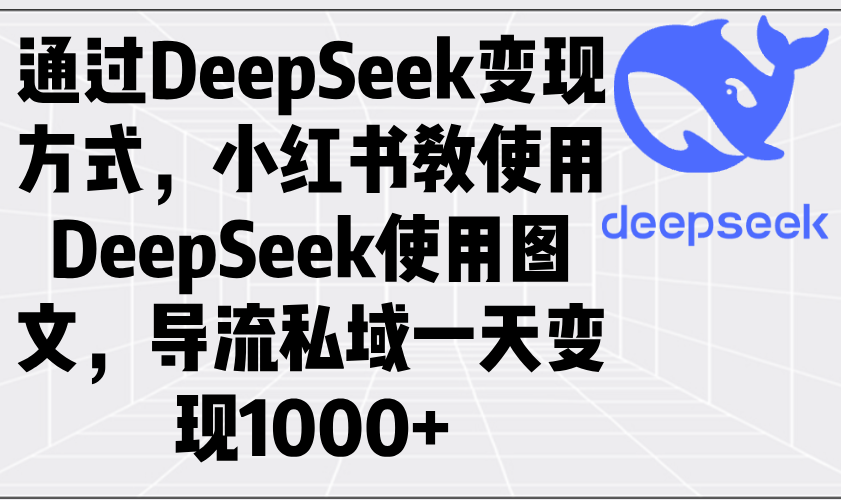 通过DeepSeek变现方式，小红书教使用DeepSeek图文，导流私域一天变现1000+-云泽轻创网