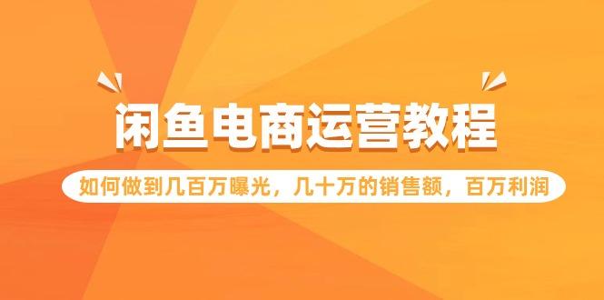 (9560期)闲鱼电商运营教程：如何做到几百万曝光，几十万的销售额，百万利润-云泽轻创网