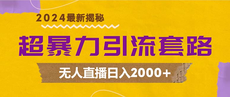 超暴力引流套路，无人直播日入2000+-云泽轻创网