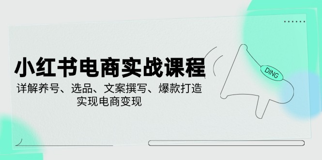 小红书电商实战课程，详解养号、选品、文案撰写、爆款打造，实现电商变现-云泽轻创网