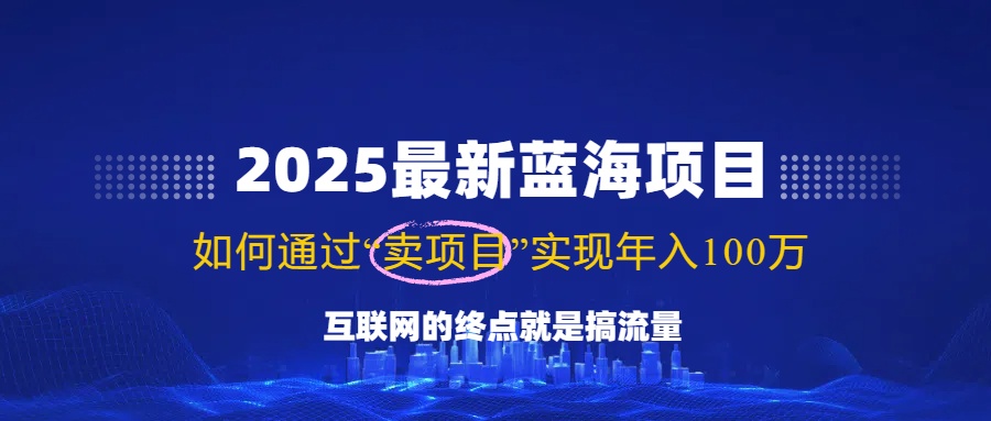 2025最新蓝海项目，零门槛轻松复制，月入10万+，新手也能操作！-云泽轻创网