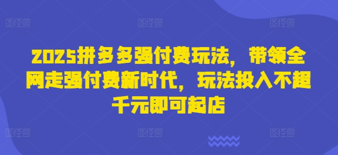 2025拼多多强付费玩法，带领全网走强付费新时代，玩法投入不超千元即可起店-云泽轻创网