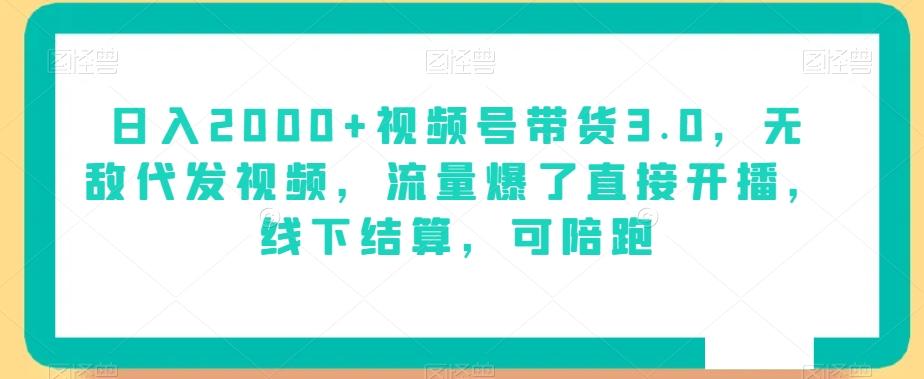 日入2000+视频号带货3.0，无敌代发视频，流量爆了直接开播，线下结算，可陪跑-云泽轻创网