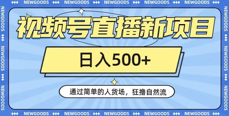 视频号直播新项目，通过简单的人货场，狂撸自然流，日入500+【260G资料】-云泽轻创网
