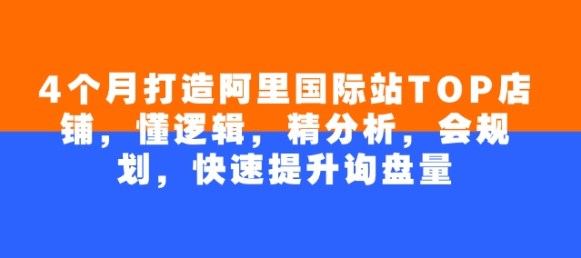 4个月打造阿里国际站TOP店铺，懂逻辑，精分析，会规划，快速提升询盘量-云泽轻创网