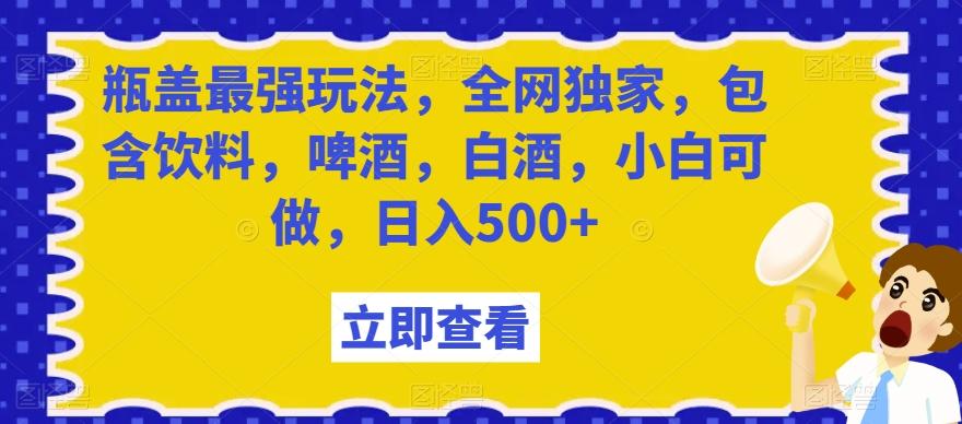 瓶盖最强玩法，全网独家，包含饮料，啤酒，白酒，小白可做，日入500+【揭秘】-云泽轻创网