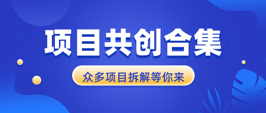 项目共创合集，从0-1全过程拆解，让你迅速找到适合自已的项目-云泽轻创网