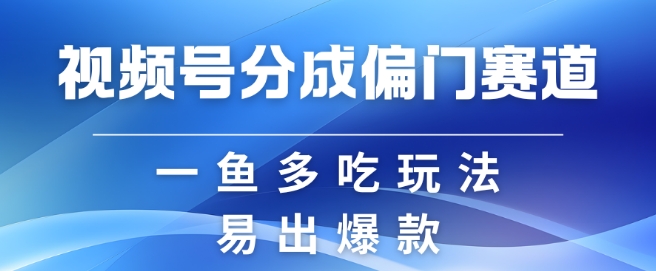 视频号创作者分成计划偏门类目，容易爆流，实拍内容简单易做【揭秘】-云泽轻创网