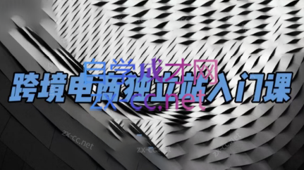 团长·跨境电商独立站入门课(2小时精华)-云泽轻创网