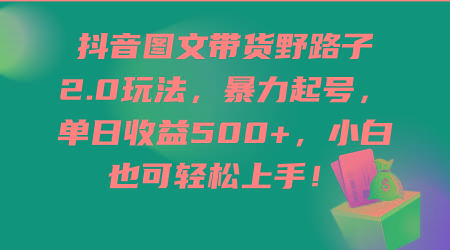 (9790期)抖音图文带货野路子2.0玩法，暴力起号，单日收益500+，小白也可轻松上手！-云泽轻创网