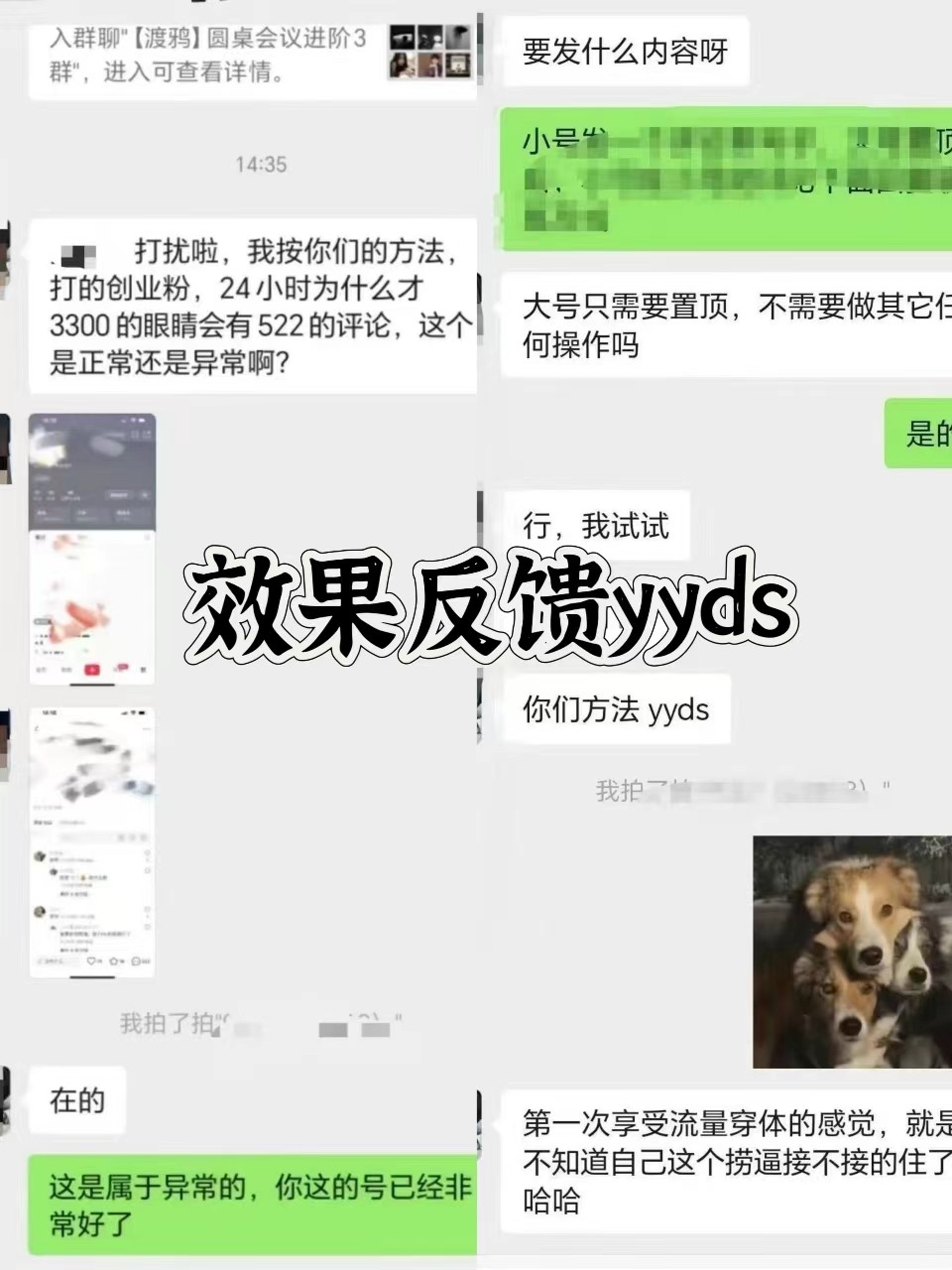 图片[3]-抖音小红书视频号全平台引流打法，全自动引流日引2000+精准客户-云泽轻创网