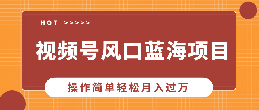 视频号风口蓝海项目，中老年人的流量密码，操作简单轻松月入过万-云泽轻创网