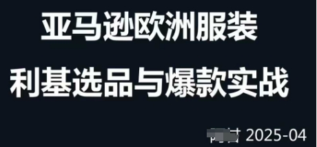 跨境电商选品案例24-25年，聚焦跨境电商选品策略与运营优化，助力卖家挖掘蓝海市场-云泽轻创网