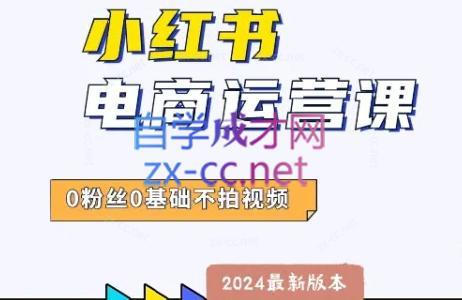 达哥·小红书电商运营(2024版)-云泽轻创网