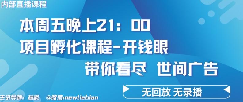 4.26日内部回放课程《项目孵化-开钱眼》赚钱的底层逻辑【揭秘】-云泽轻创网