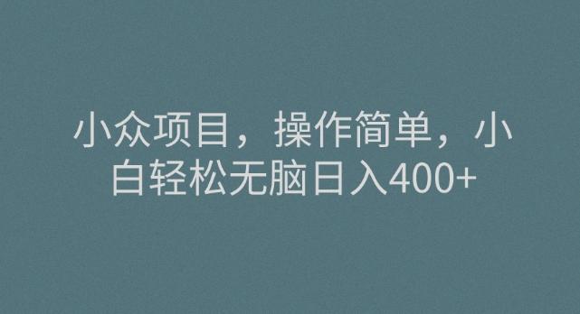 小众项目，操作简单，小白轻松无脑日入400+-云泽轻创网