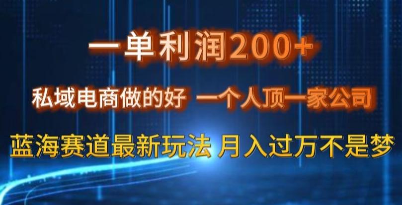 一单利润200私域电商做的好，一个人顶一家公司蓝海赛道最新玩法【揭秘】-云泽轻创网