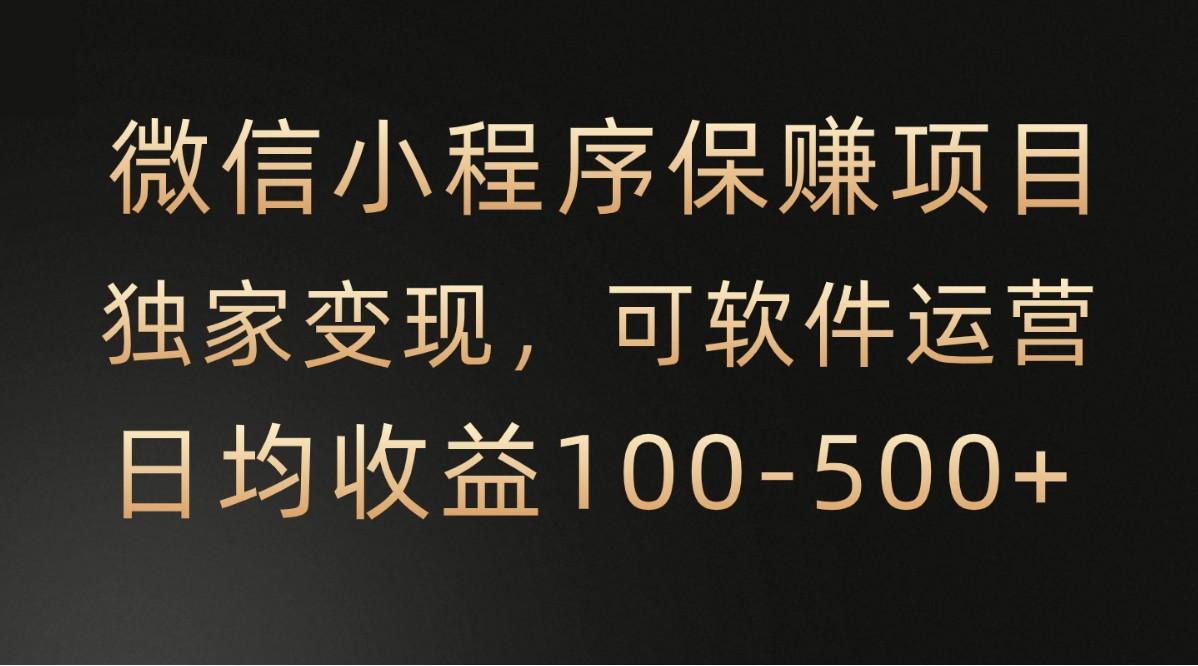 微信小程序，腾讯保赚项目，可软件自动运营，日均100-500+收益有保障-云泽轻创网