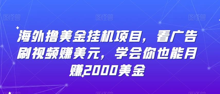 海外撸美金挂机项目，看广告刷视频赚美元，学会你也能月赚2000美金-云泽轻创网