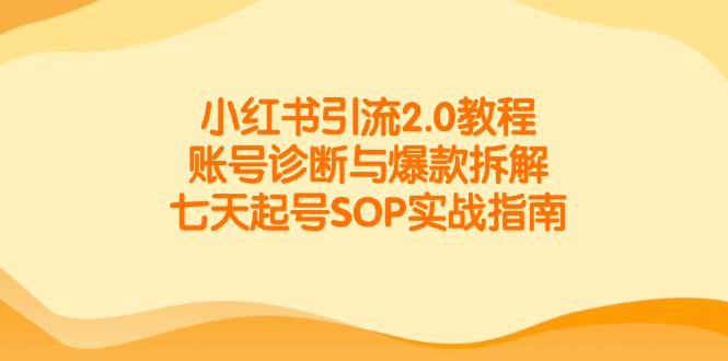 小红书引流2.0教程,账号诊断与爆款拆解,七天起号SOP实战指南-云泽轻创网