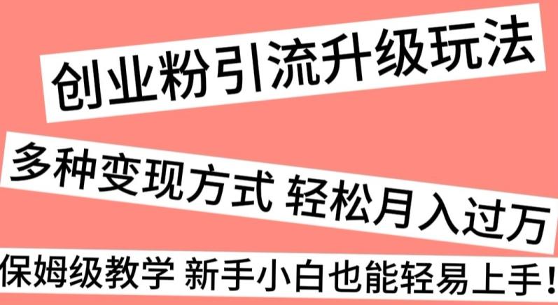 创业粉引流升级玩法，多种变现方式轻松月入过万，保姆级教学新手小白也能轻易上手！-云泽轻创网