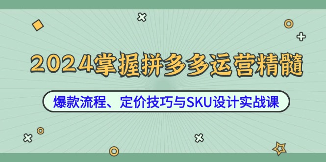 2024掌握拼多多运营精髓：爆款流程、定价技巧与SKU设计实战课-云泽轻创网