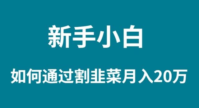 (9308期)新手小白如何通过割韭菜月入 20W-云泽轻创网