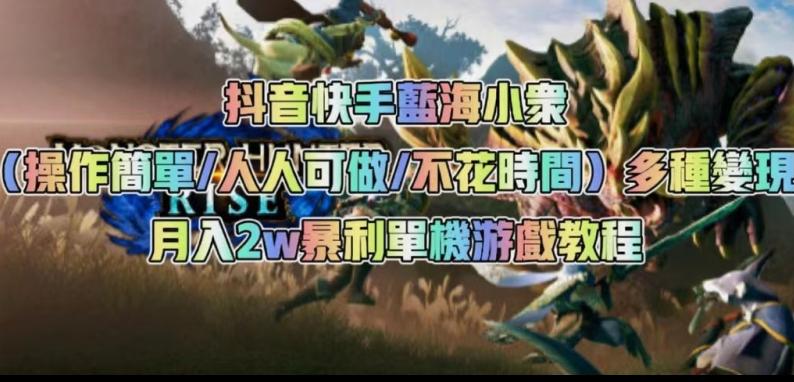 抖音快手蓝海小众（操作简单人人可做不花时间）多种变现月入2w＋暴利单机游戏教程-云泽轻创网