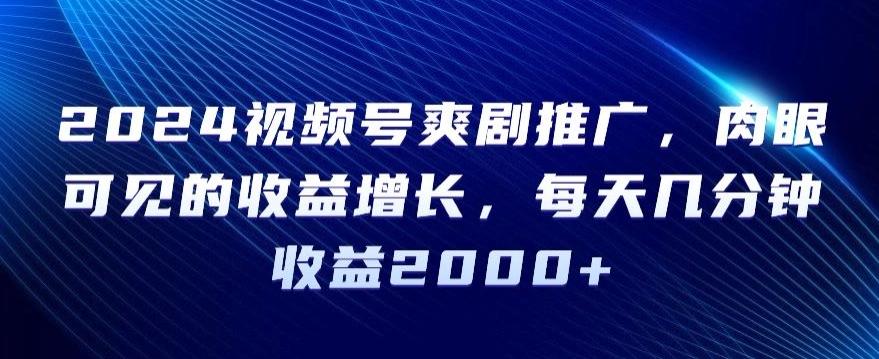 2024视频号爽剧推广，肉眼可见的收益增长，每天几分钟收益2000+【揭秘】-云泽轻创网