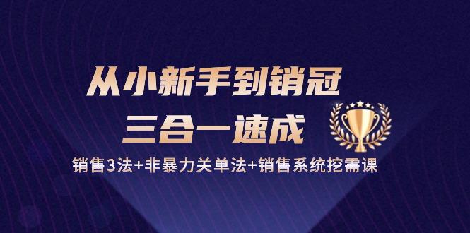 从小新手到销冠 三合一速成：销售3法+非暴力关单法+销售系统挖需课 (27节-云泽轻创网